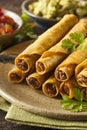 Homemade Mexican Beef Taquitos