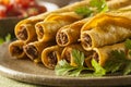Homemade Mexican Beef Taquitos Royalty Free Stock Photo
