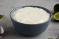 Homemade Mexican Crema Sauce in a Bowl, side view