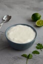 Homemade Mexican Crema Sauce in a Bowl, side view