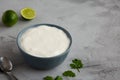 Homemade Mexican Crema Sauce in a Bowl, side view. Copy space