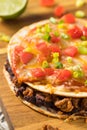 Homemade Mexican Pizza Quesadilla