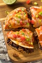 Homemade Mexican Pizza Quesadilla Royalty Free Stock Photo