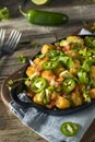 Homemade Mexican Tater Tot Nachos Tachos Royalty Free Stock Photo