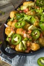 Homemade Mexican Tater Tot Nachos Tachos Royalty Free Stock Photo