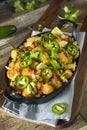 Homemade Mexican Tater Tot Nachos Tachos Royalty Free Stock Photo