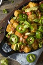 Homemade Mexican Tater Tot Nachos Tachos Royalty Free Stock Photo