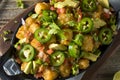 Homemade Mexican Tater Tot Nachos Tachos