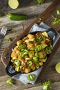 Homemade Mexican Tater Tot Nachos Tachos Royalty Free Stock Photo