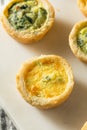 Homemade Mini Egg Quiches Royalty Free Stock Photo
