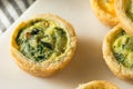 Homemade Mini Egg Quiches Royalty Free Stock Photo