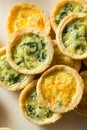 Homemade Mini Egg Quiches Royalty Free Stock Photo