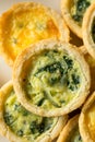 Homemade Mini Egg Quiches Royalty Free Stock Photo