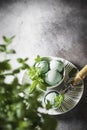 Homemade mint ice cream with mint leaves on a concrete background.