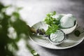 Homemade mint ice cream with mint leaves on a concrete background.