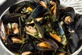 Homemade Moules Frites Mussels and Fries Royalty Free Stock Photo