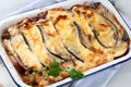 Homemade moussaka. Greek cuisine