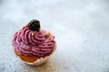 Homemade muffin in a brown baked basket with purple cream, fresh blackberry, Golden splash on blurred background with copy space Royalty Free Stock Photo