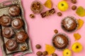 Homemade muffins with apples and nuts arranged on a tray on a pink background Royalty Free Stock Photo