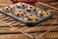 Homemade muffins with dried cherry in bakeware Royalty Free Stock Photo