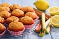 Homemade muffins with lemon and rhubarb. Royalty Free Stock Photo