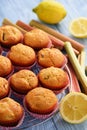 Homemade muffins with lemon and rhubarb. Royalty Free Stock Photo