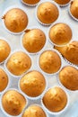 Homemade muffins on oven tray. Top view Royalty Free Stock Photo