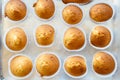 Homemade muffins on oven tray. Top view Royalty Free Stock Photo