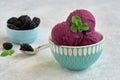 Homemade mulberry ice cream , sorbet with ripe mulberries and mint leaves. Closeup Royalty Free Stock Photo