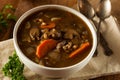 Homemade Mushroom Barley Soup Royalty Free Stock Photo