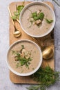 Homemade mushroom cream soup with sliced dry mushrooms. Top view