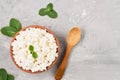 Homemade natural cottage cheese in a clay bowl, next to a wooden spoon, gray neutral background, layout with copy space. Soft curd