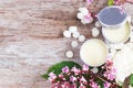 Homemade natural lip balm in tin pots, D.I.Y. projects Royalty Free Stock Photo