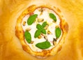 Homemade neapolitan style pizza