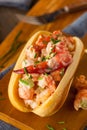 Homemade New England Lobster Roll Royalty Free Stock Photo