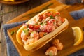 Homemade New England Lobster Roll Royalty Free Stock Photo