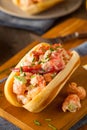 Homemade New England Lobster Roll Royalty Free Stock Photo