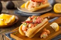 Homemade New England Lobster Roll Royalty Free Stock Photo