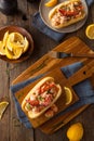 Homemade New England Lobster Roll Royalty Free Stock Photo