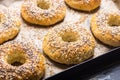 Homemade new york bagels