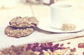 Homemade Oatmeal cookie diet Royalty Free Stock Photo