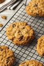 Homemade Oatmeal Raisin Cookies