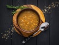 Homemade onion soup on a dark background