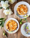 Homemade open apricot pie shortcrust pastry with apricot filling
