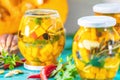 Homemade orange cut pumpkin pickles Royalty Free Stock Photo