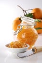 Homemade Orange jam Royalty Free Stock Photo