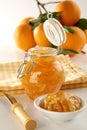Homemade Orange jam Royalty Free Stock Photo