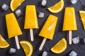 Homemade orange popsicle Royalty Free Stock Photo