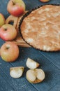 Homemade organic apple pie dessert ready to eat. Selective focus Royalty Free Stock Photo