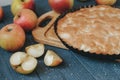 Homemade organic apple pie dessert ready to eat. Selective focus Royalty Free Stock Photo